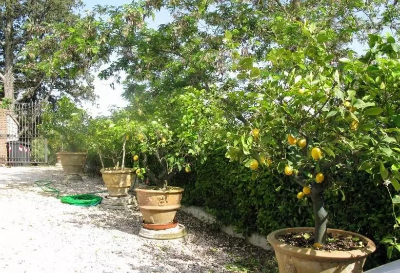 酒店 Agriturismo Vocabolo Palazzo