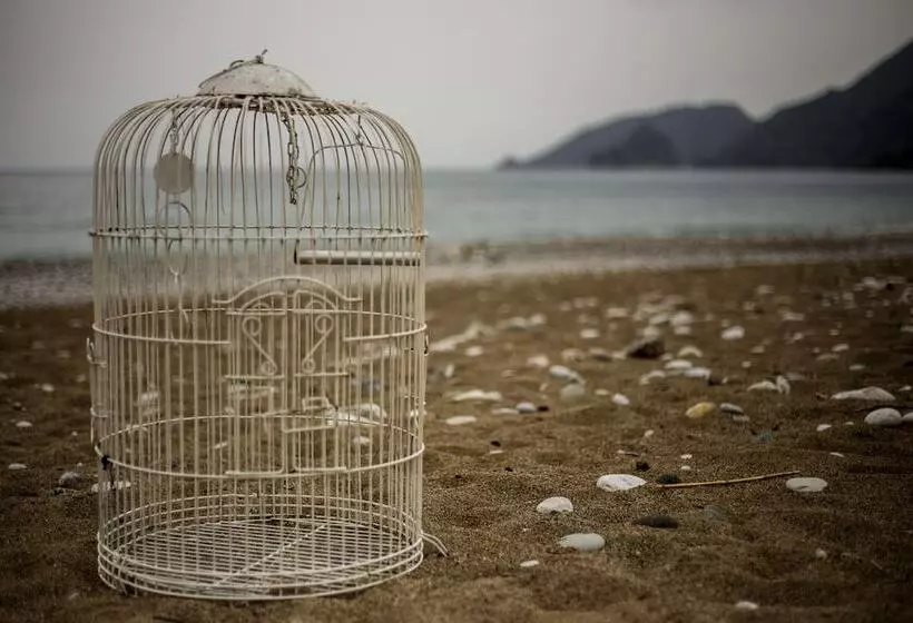 ホテル Blue & White