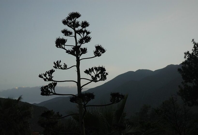 Hotel Domaine De La Roseraie Resort