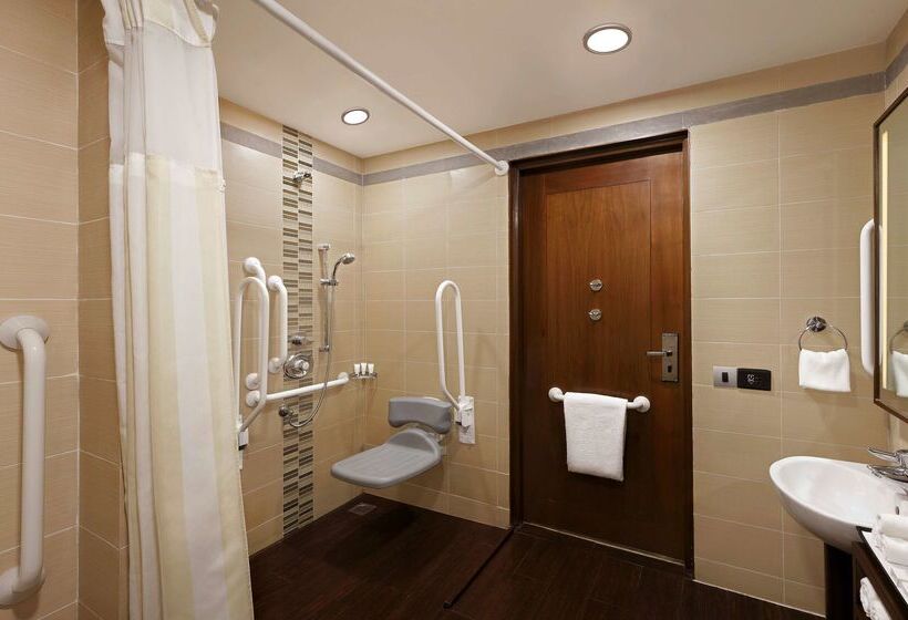 ホテル Hilton Garden Inn New Delhi/saket