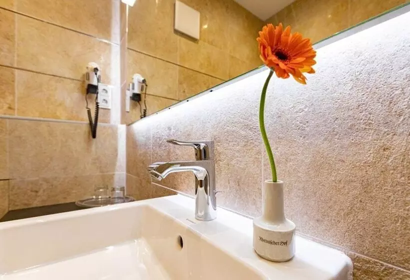 ホテル Rheinischer Hof Bad Soden