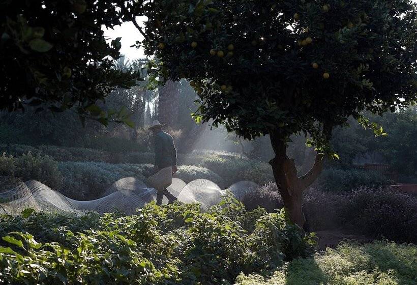 Hotel Royal Mansour Marrakech