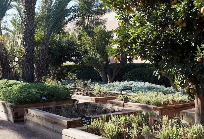 هتل Royal Mansour Marrakech