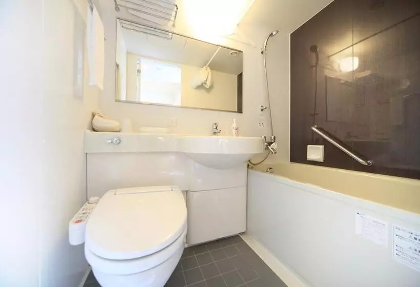 Отель Sotetsu Fresa Inn Shimbashi Karasumoriguchi