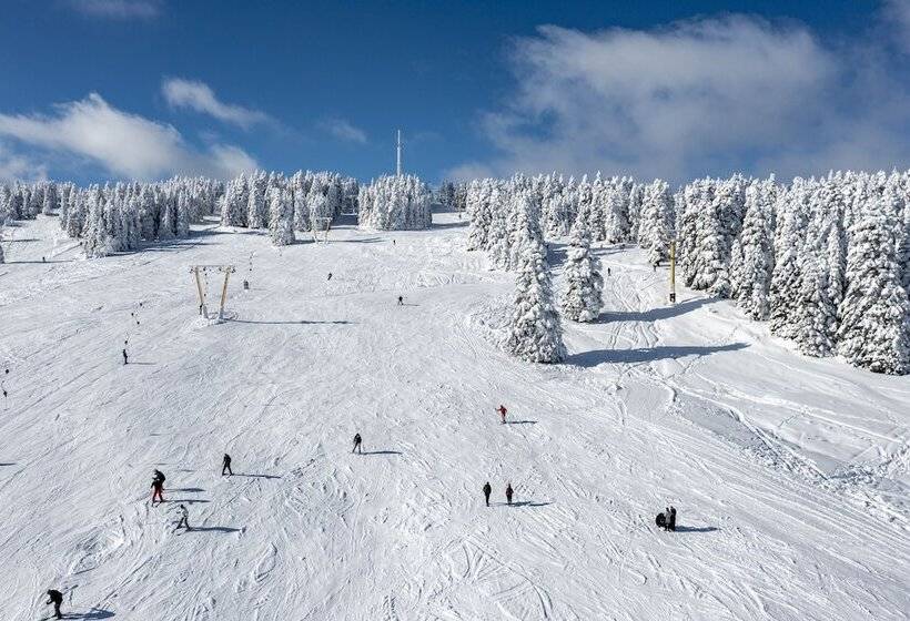 Jura Hotels Kervansaray Uludag