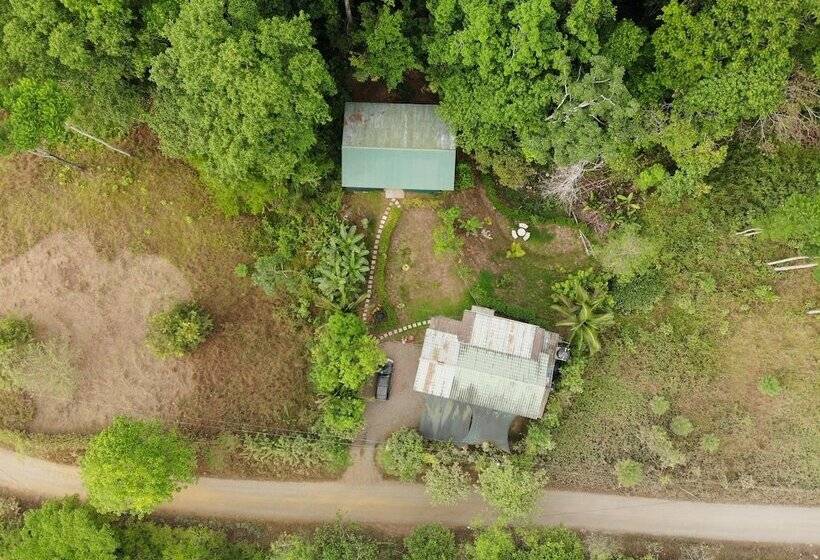 Cabañas Bajo Bosque Drake