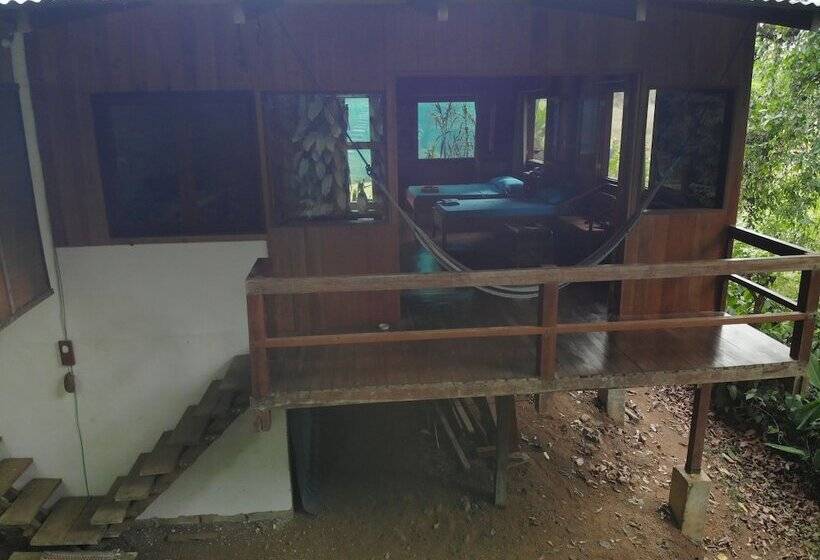 Cabañas Bajo Bosque Drake