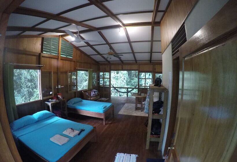 Cabañas Bajo Bosque Drake