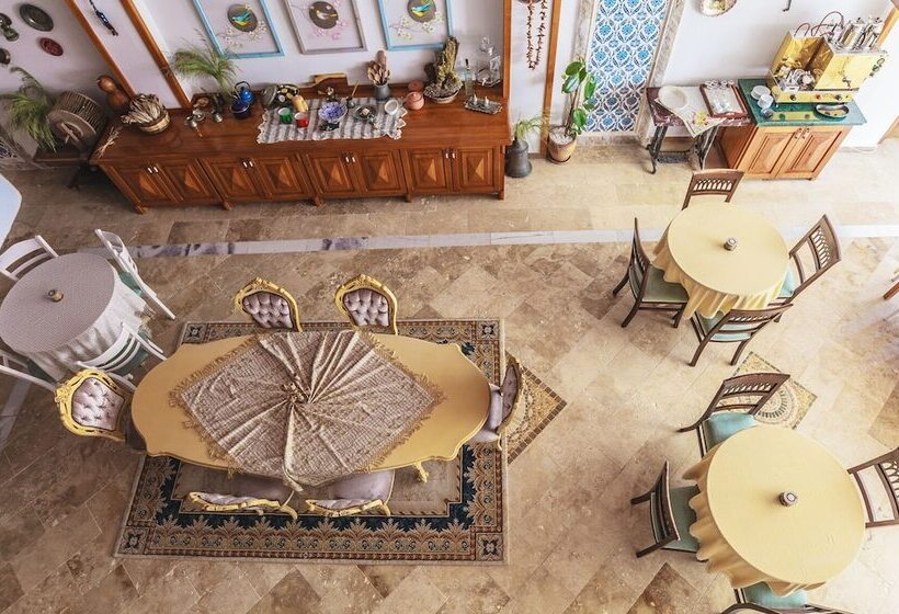 בית מלון כפרי Akyaka Gumus Konak