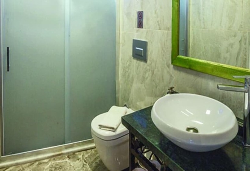 בית מלון כפרי Akyaka Gumus Konak