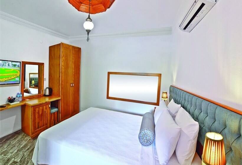 בית מלון כפרי Akyaka Gumus Konak