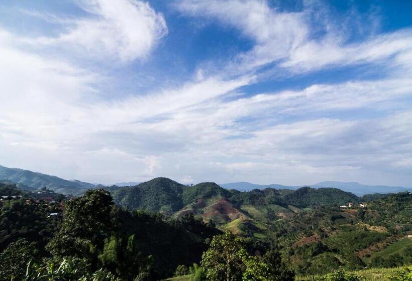 בית מלון כפרי My Place Mae Salong