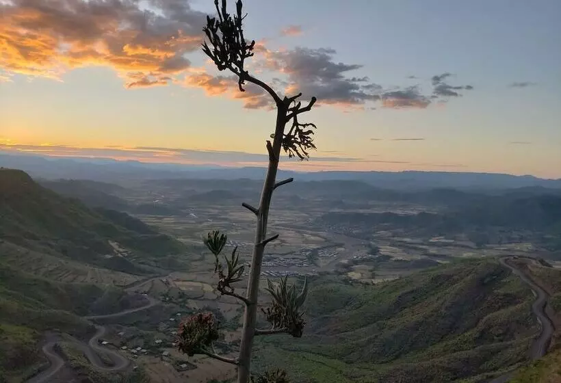 Top Twelve Hotel   Lalibela
