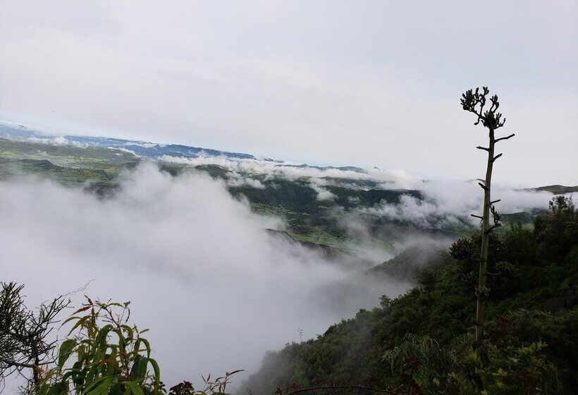 Top Twelve Hotel Lalibela