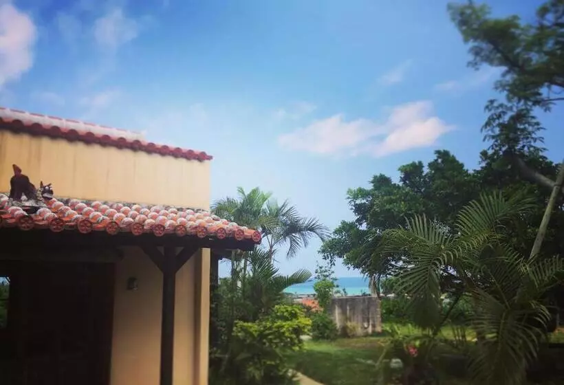 ベッドアンドブレックファースト Somos