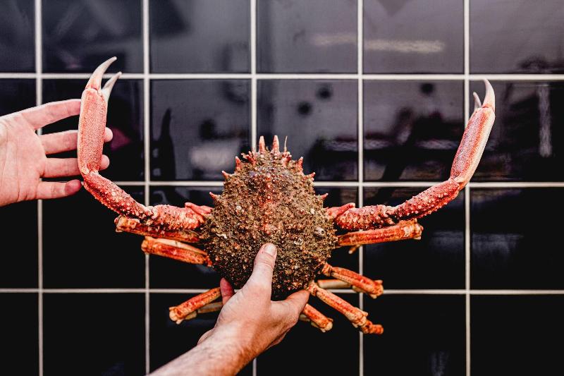 فندق Bateau Libre