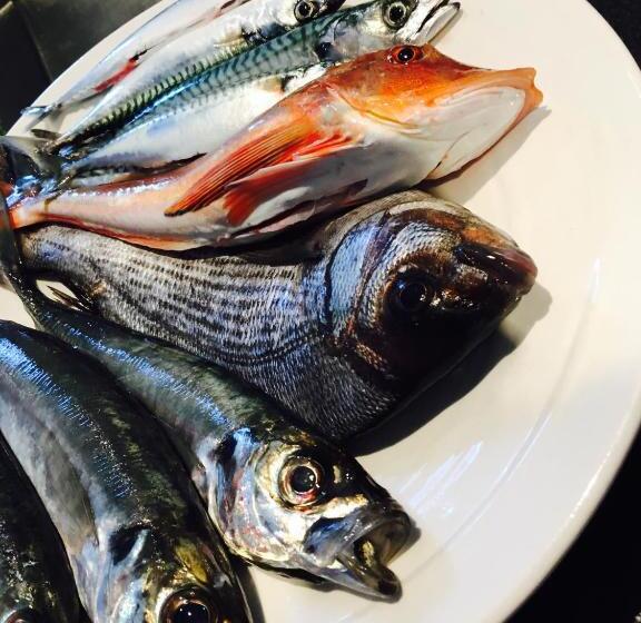 فندق Bateau Libre