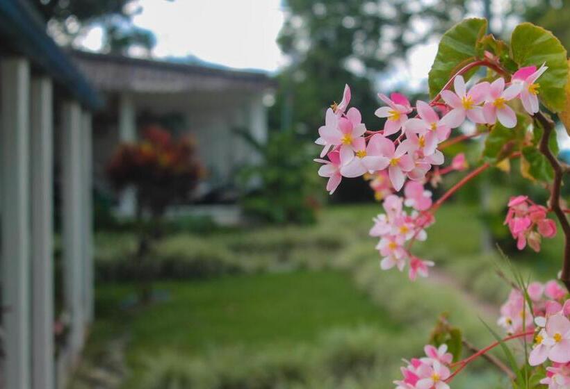 هتل Campestre La Esperanza En Dios