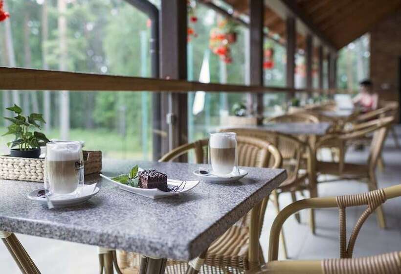 هتل Oro Dubingiai