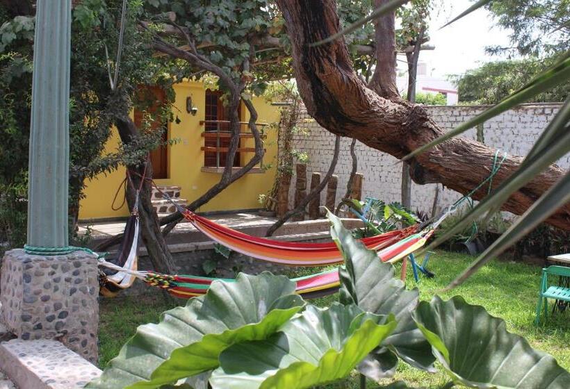 پانسیون Hostal Loma Blanca