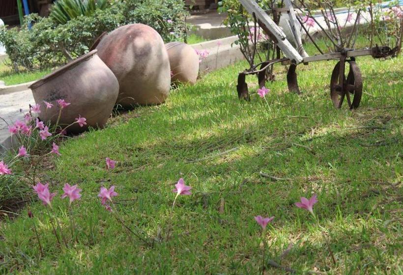 پانسیون Hostal Loma Blanca