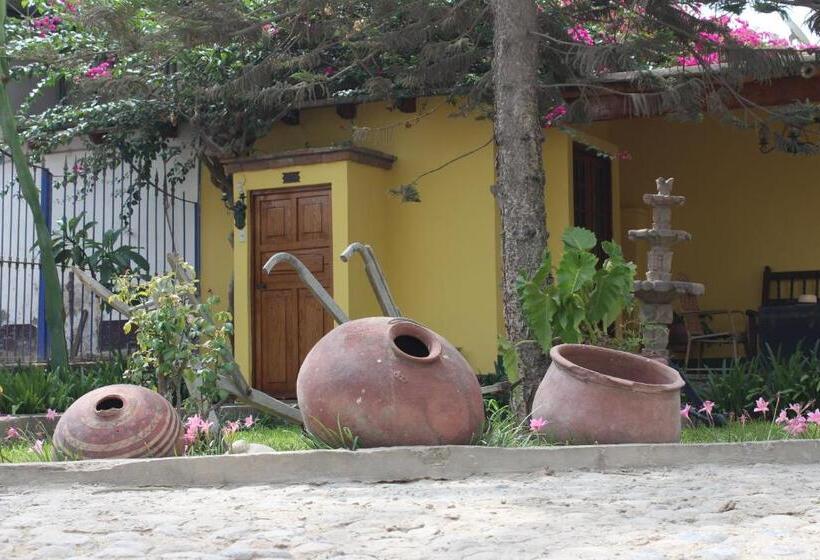 پانسیون Hostal Loma Blanca