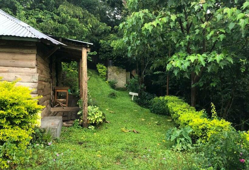 پانسیون Lake Lyantonde Eco Campsite And Lodge