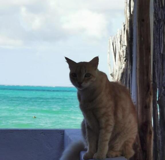 Aamiaismajoitus (B&B) Fisherman Lodge