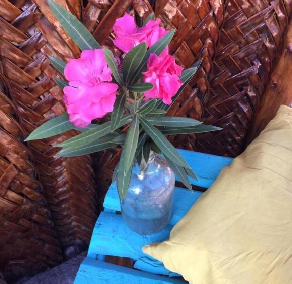 Aamiaismajoitus (B&B) Fisherman Lodge