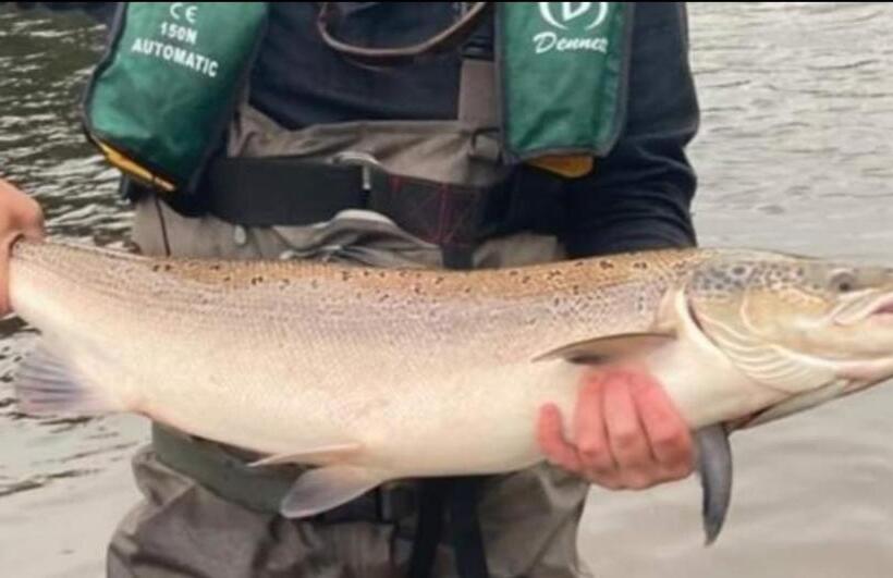 Cable Island Bed And Breakfast