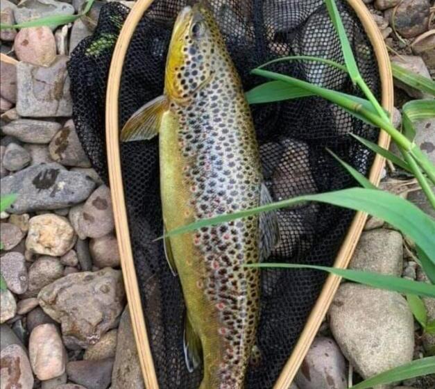 Cable Island Bed And Breakfast