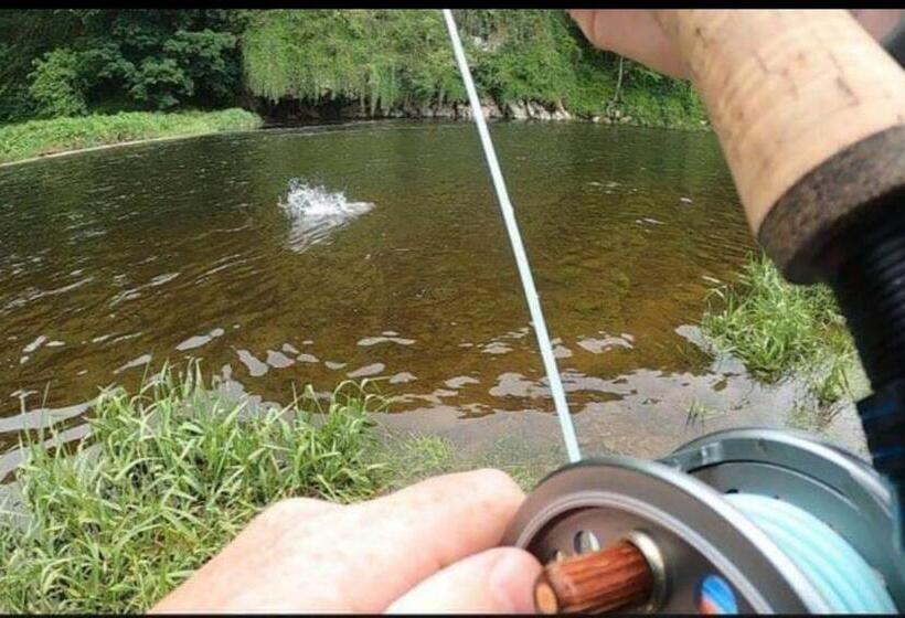 Cable Island Bed And Breakfast