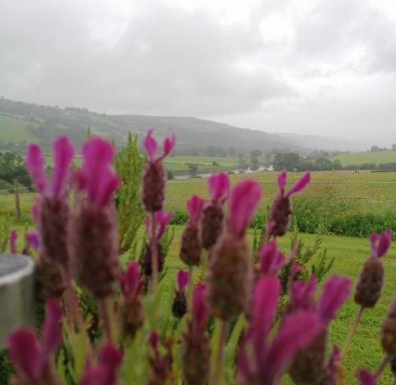 Cable Island Bed And Breakfast