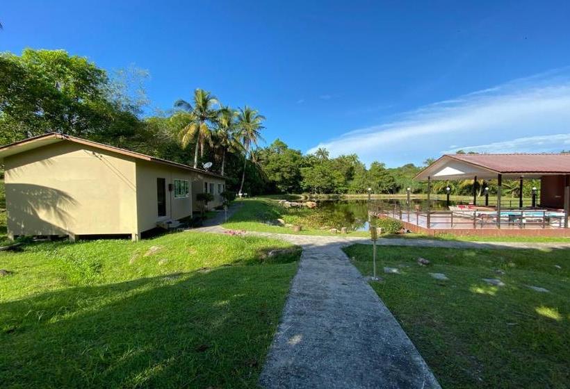 בית מלון כפרי Oyo 90287 Rb Homestay & Farms