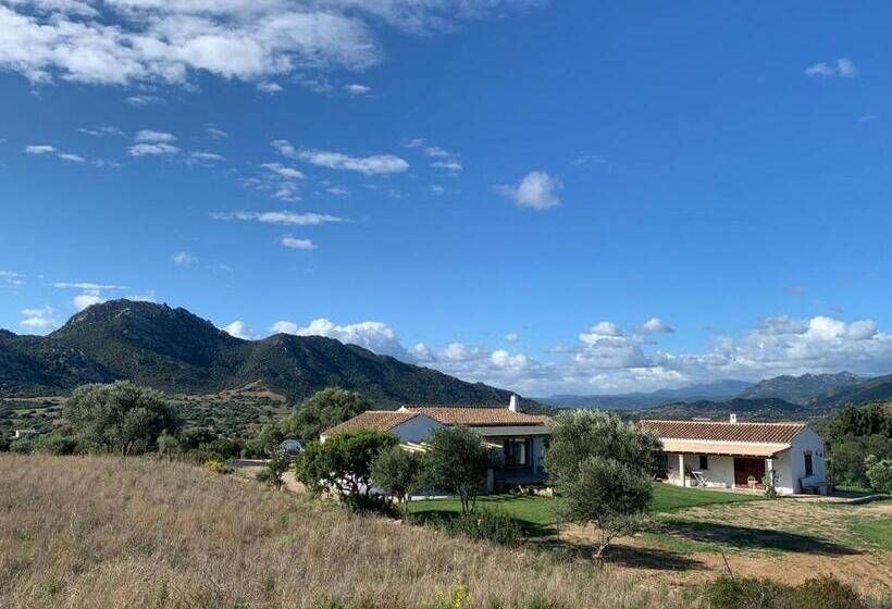 بنسيون Macciuneddu Country Retreat