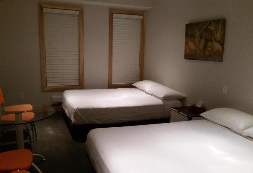 هاستل Dragon Gate Inn