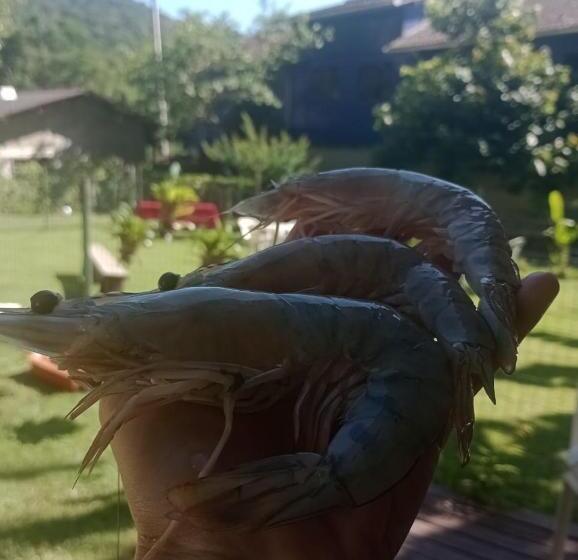 בית מלון כפרי Casa De Praia Cantinho Do Saco 12 Pessoas