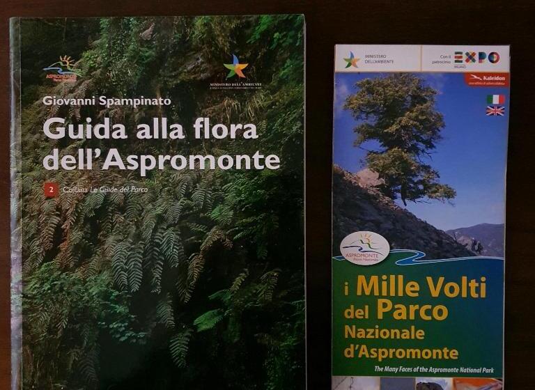 Park Hotel Bellavista