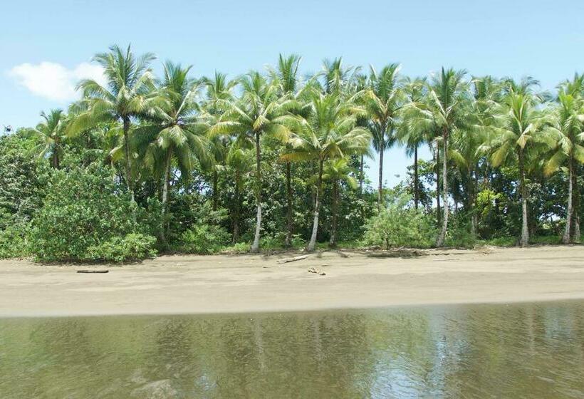 Pension Peñas De Guachalito