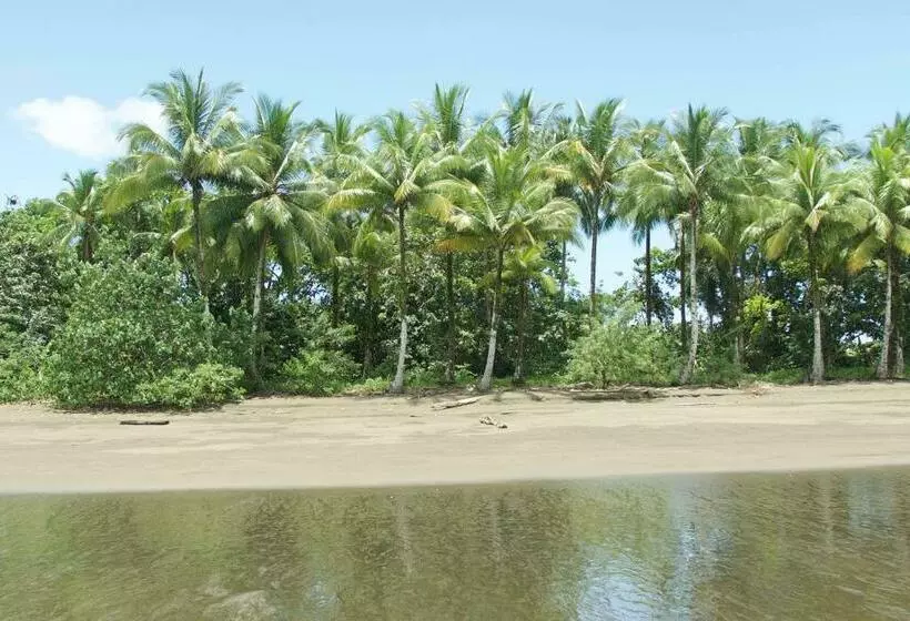 ペンション Peñas De Guachalito
