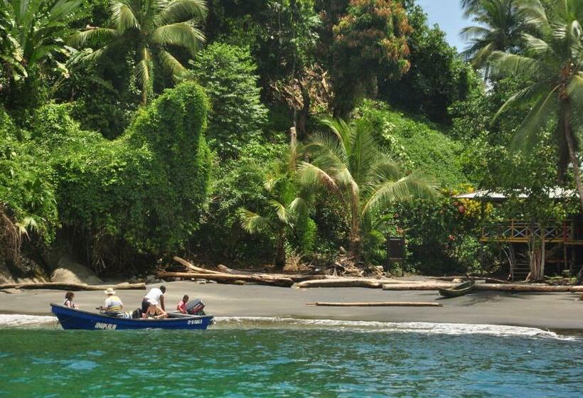 Pension Peñas De Guachalito