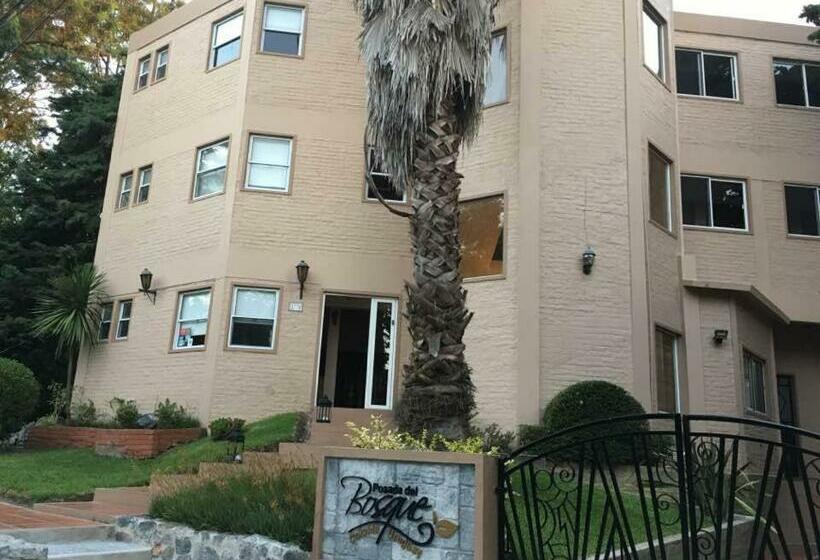 הוסטל Del Bosque Posada