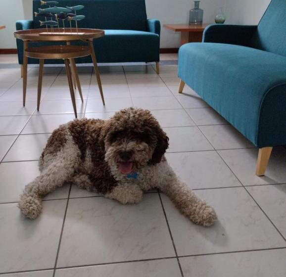 هتل Casa Per Ferie Il Pioppo