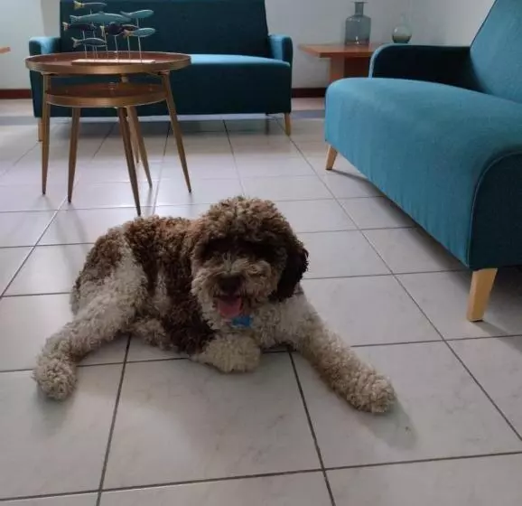 ホテル Casa Per Ferie Il Pioppo