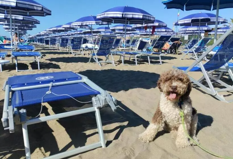 ホテル Casa Per Ferie Il Pioppo