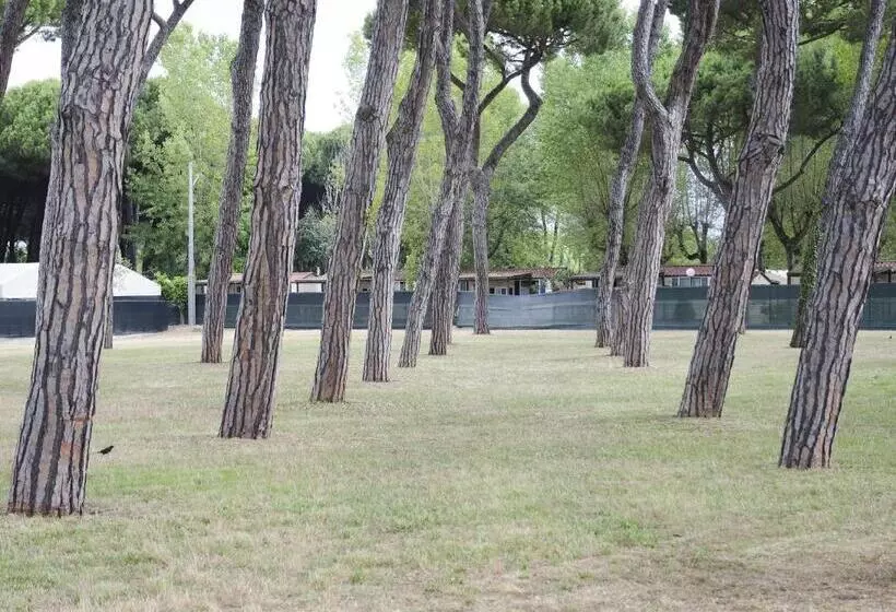 ホテル Casa Per Ferie Il Pioppo
