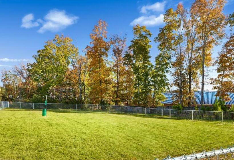 בית מלון כפרי Staybridge Suites   Auburn   University Area, An Ihg