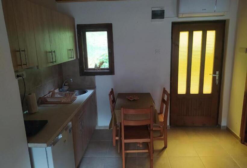 پانسیون Apartmani Zora Vuković