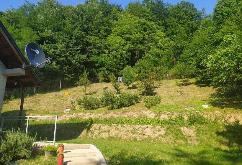 پانسیون Apartmani Zora Vuković