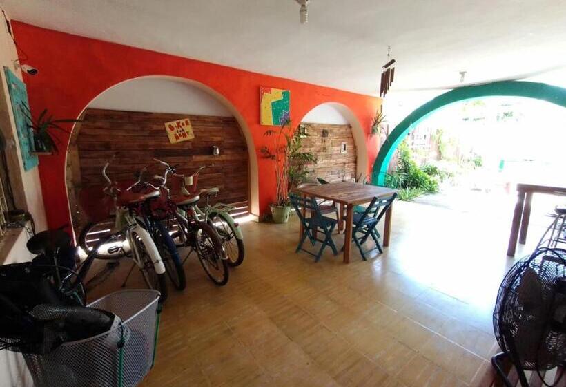 ペンション Casa Samay